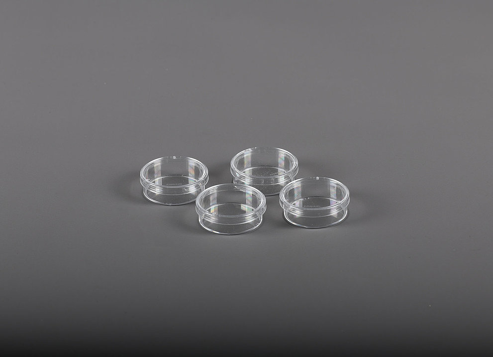 Vier kleine Glasschalen für 18mm Sekundärproben auf grauem Hintergrund