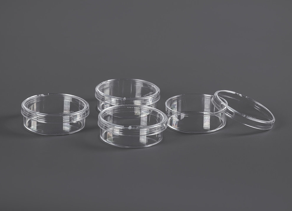 Fünf größere Glasschalen für 38mm Sekundärproben auf grauem Hintergrund