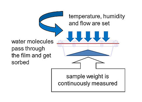 Schematisches Diagramm zeigt Wasserdampfdiffusion durch Folie mit Permeabilitätsrate über Zeit