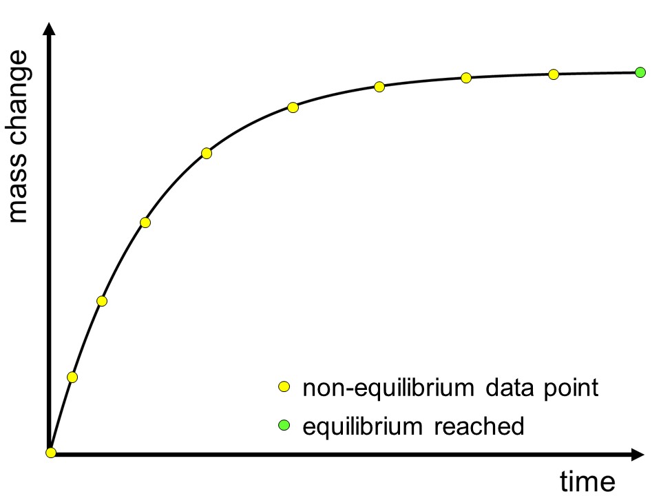 schematic sorption cinetics curve